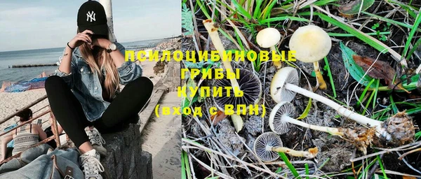Альфа ПВП Балахна