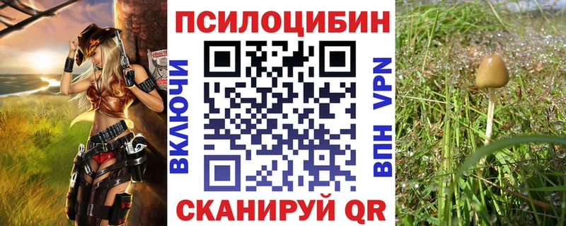 где купить наркоту  darknet Telegram  Галлюциногенные грибы Psilocybine cubensis  Гусиноозёрск 