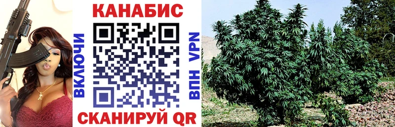 Каннабис Bruce Banner купить закладку Гусиноозёрск